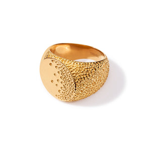 The INTERSTELLAR Ring Gold Plated